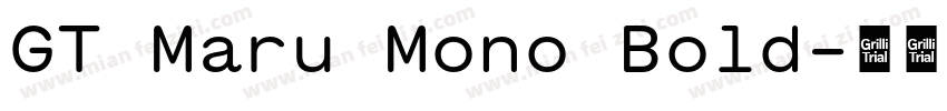 GT Maru Mono Bold字体转换